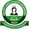 Ezzy International School of Nursing and Midwifery